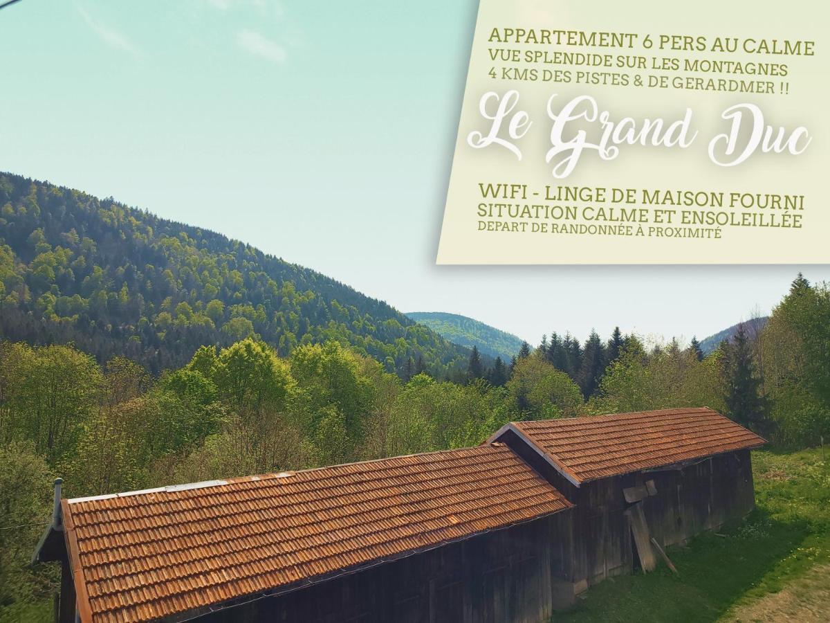 ⁂⁂ Le Grand Duc Appartement Cledicihome / Magnifique Vue Sur Les Montagnes / 4 Kms De Gerardmer ! ⁂⁂ Rochesson Kültér fotó
