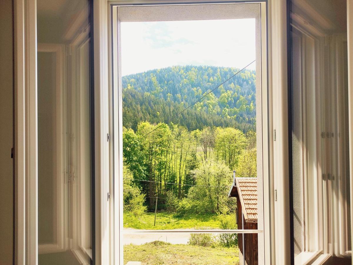 ⁂⁂ Le Grand Duc Appartement Cledicihome / Magnifique Vue Sur Les Montagnes / 4 Kms De Gerardmer ! ⁂⁂ Rochesson Kültér fotó